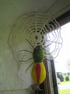 Spindel med Torkynät